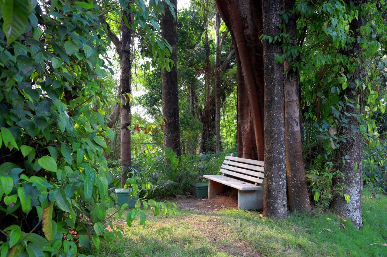 Saffronstays Coorg Toddy Farms, Coorg Madikeri Exterior photo